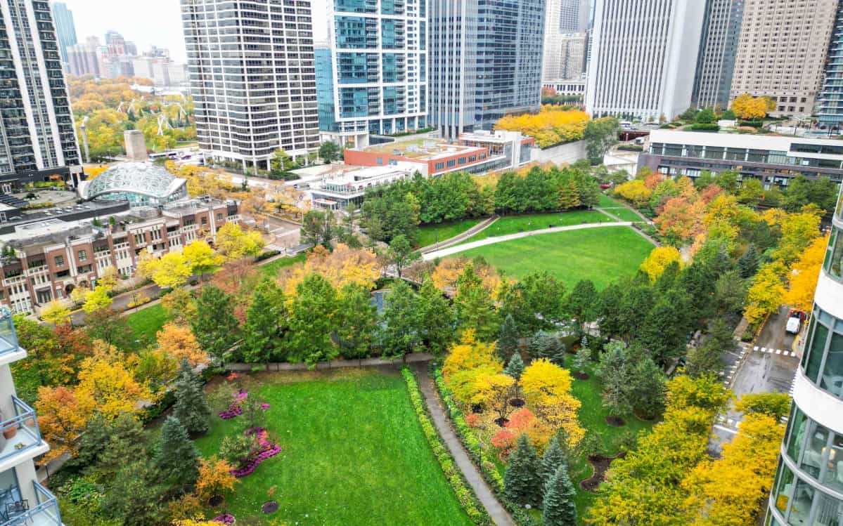 Overhead view of trees and greenery of Chicago's Lakeshore East park in fall