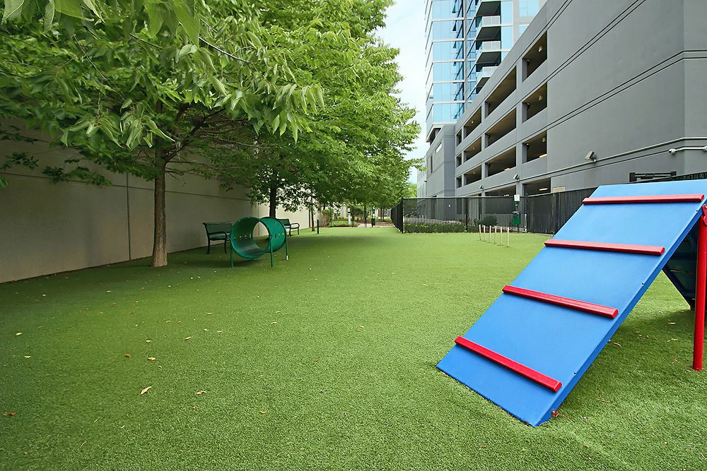 The dog park at Amli 900 luxury apartments in downtown Chicago