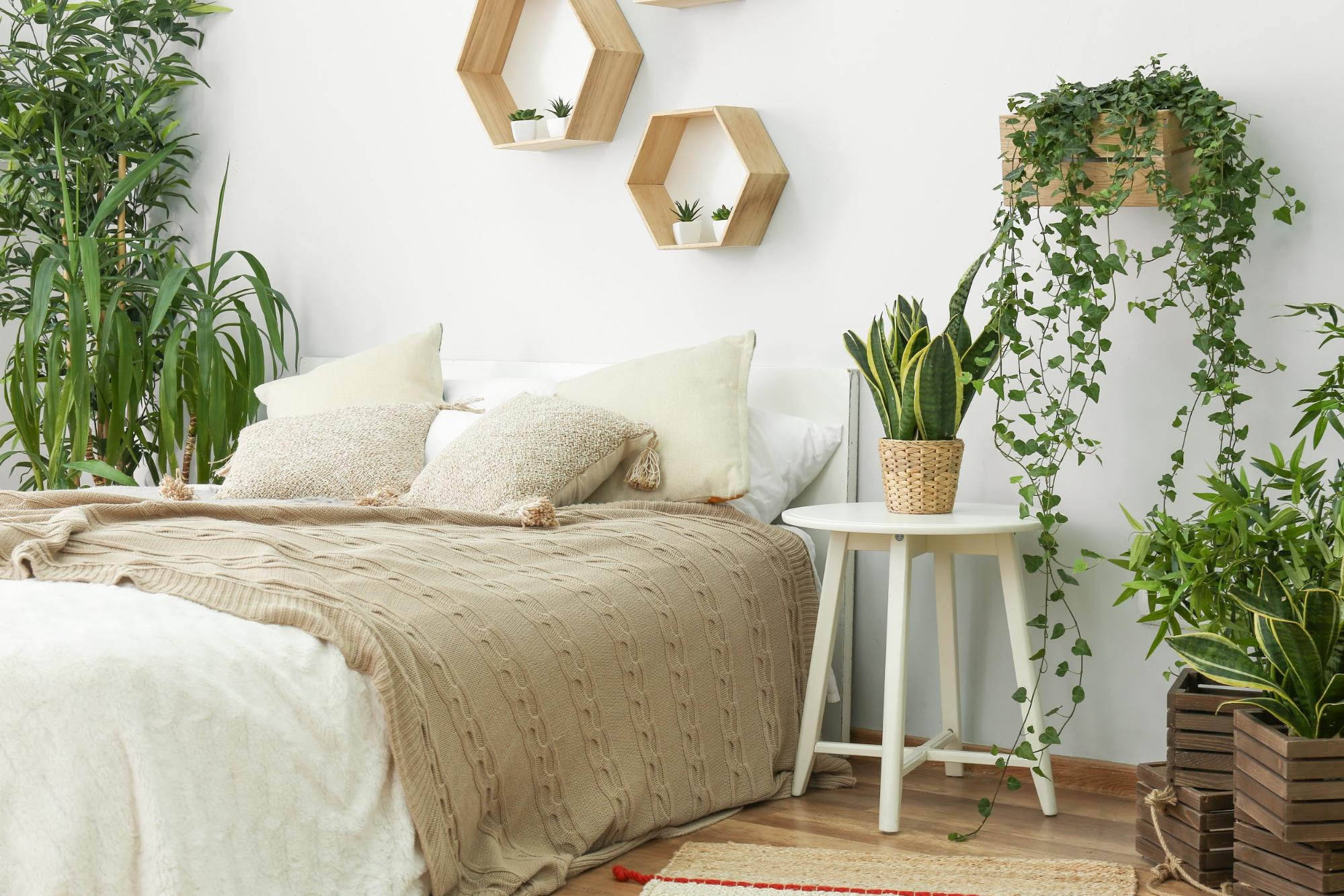 A tranquil bedroom filled with green houseplants