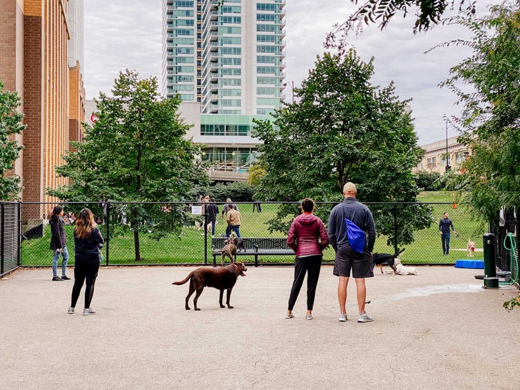 The dog park at Fulton River Park in Chicago