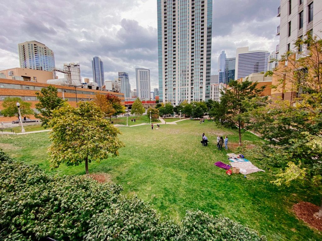 A view of the dog park in Chicago's Fulton River District
