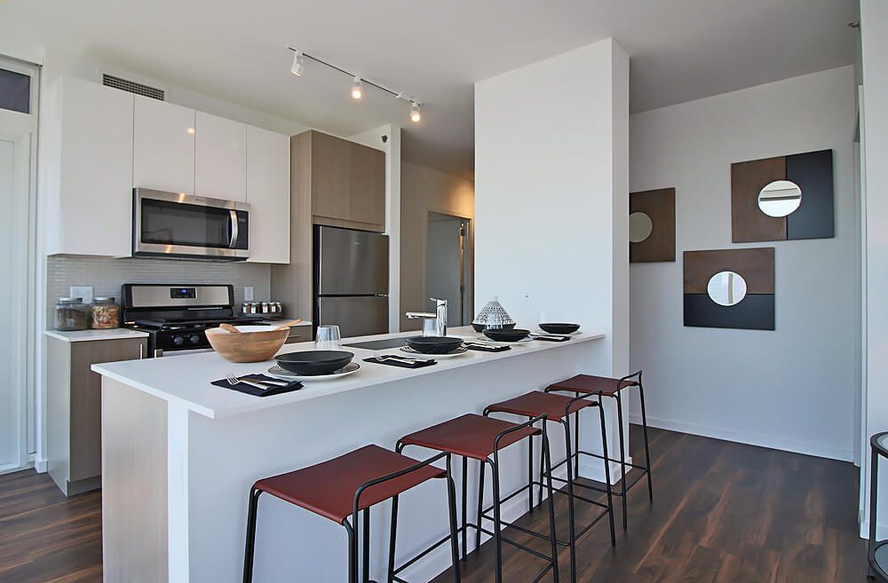 Luxury Apartment Kitchen