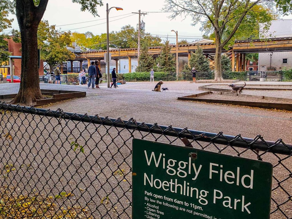 Wiggly Park dog park in Chicago's Lincoln Park neighborhood