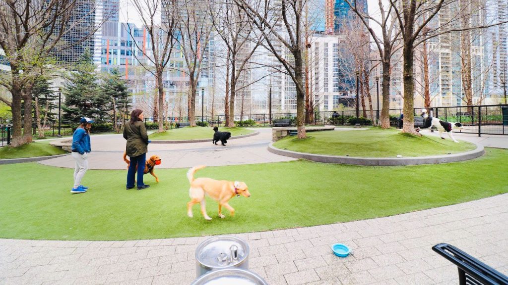 A view of the off-leash dog park at Lakeshore East Park in Chicago