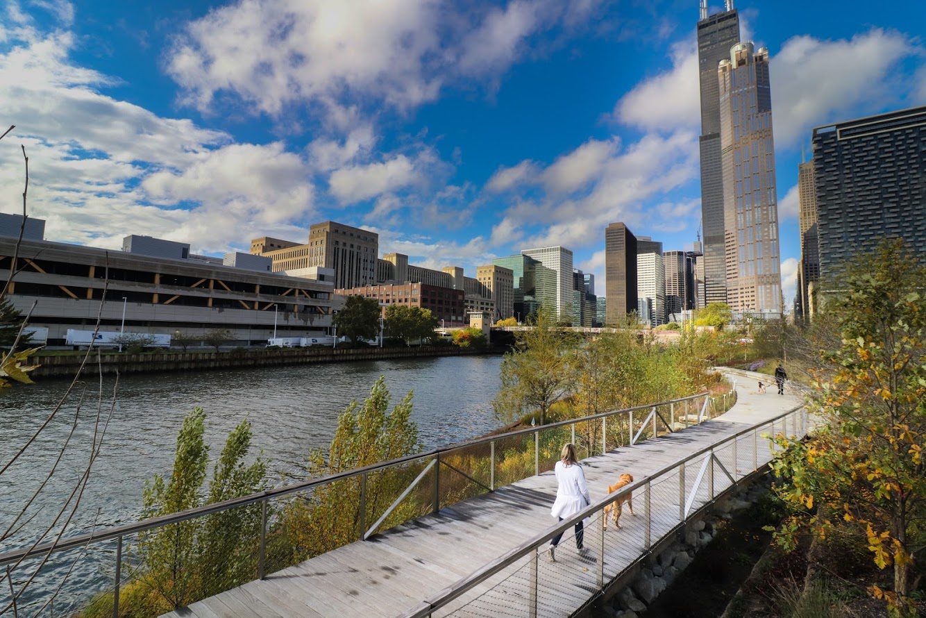 Photo of River in South Bank