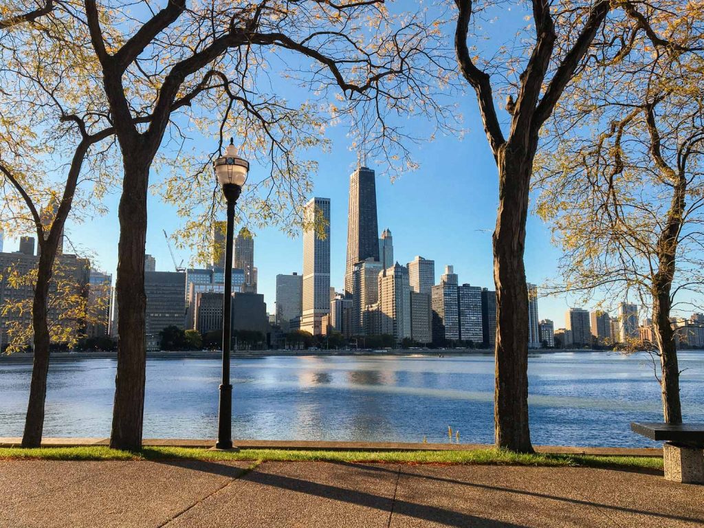 A view of downtown Chicago from Streeterville's Milton Lee Olive Park 