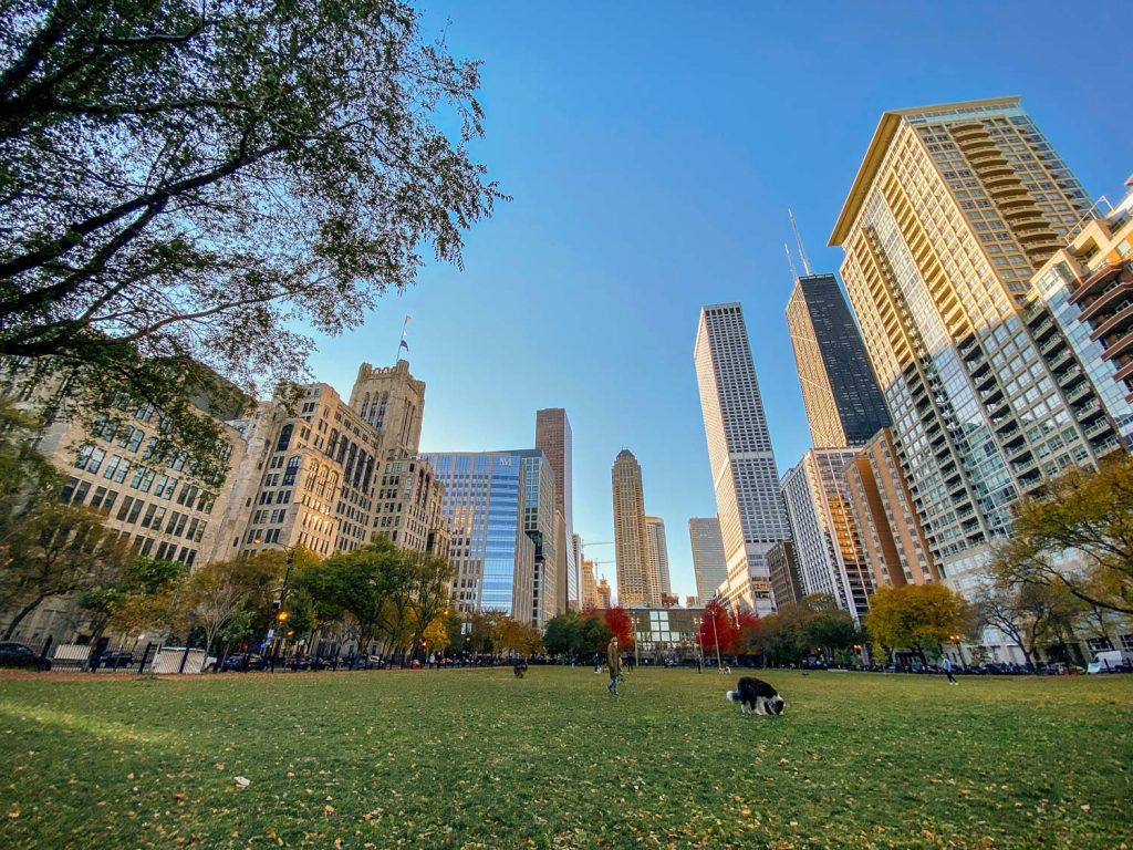 A view of Streeterville from Lakeshore Park