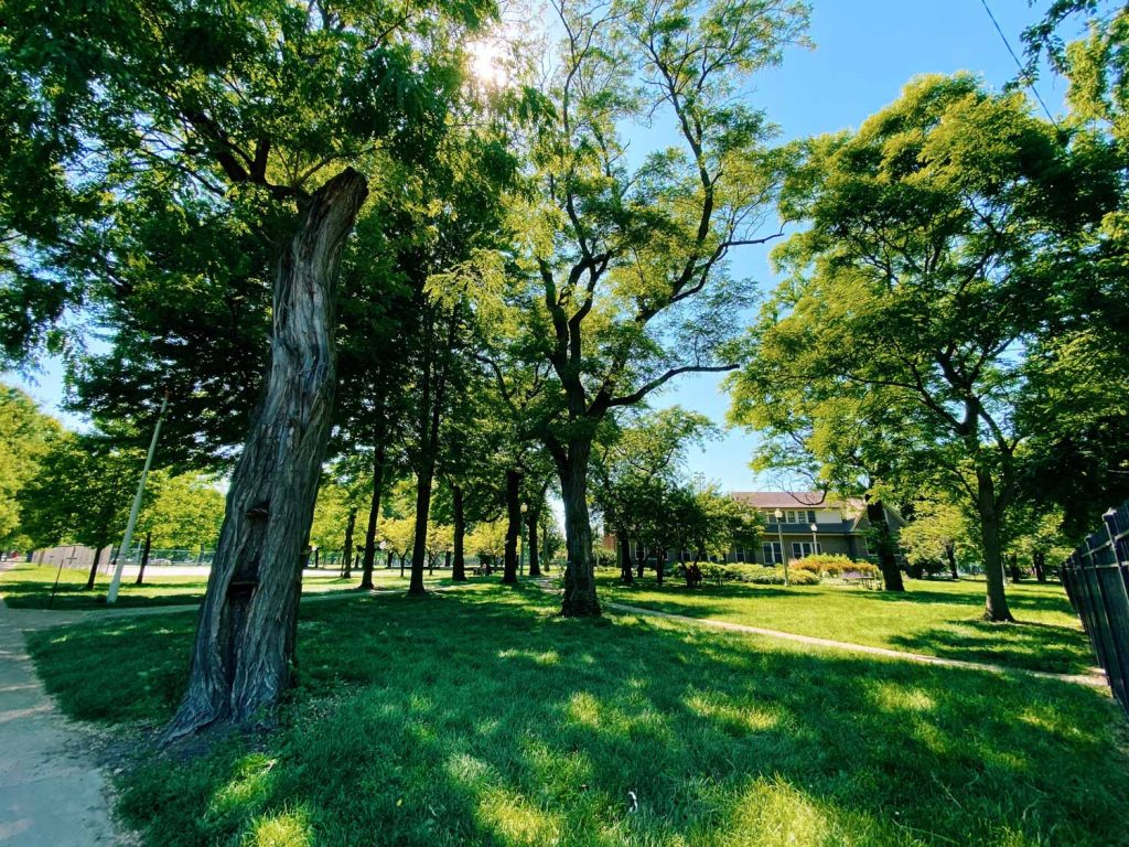 A view of Union Park in Chicago's West Loop neighborhood. 