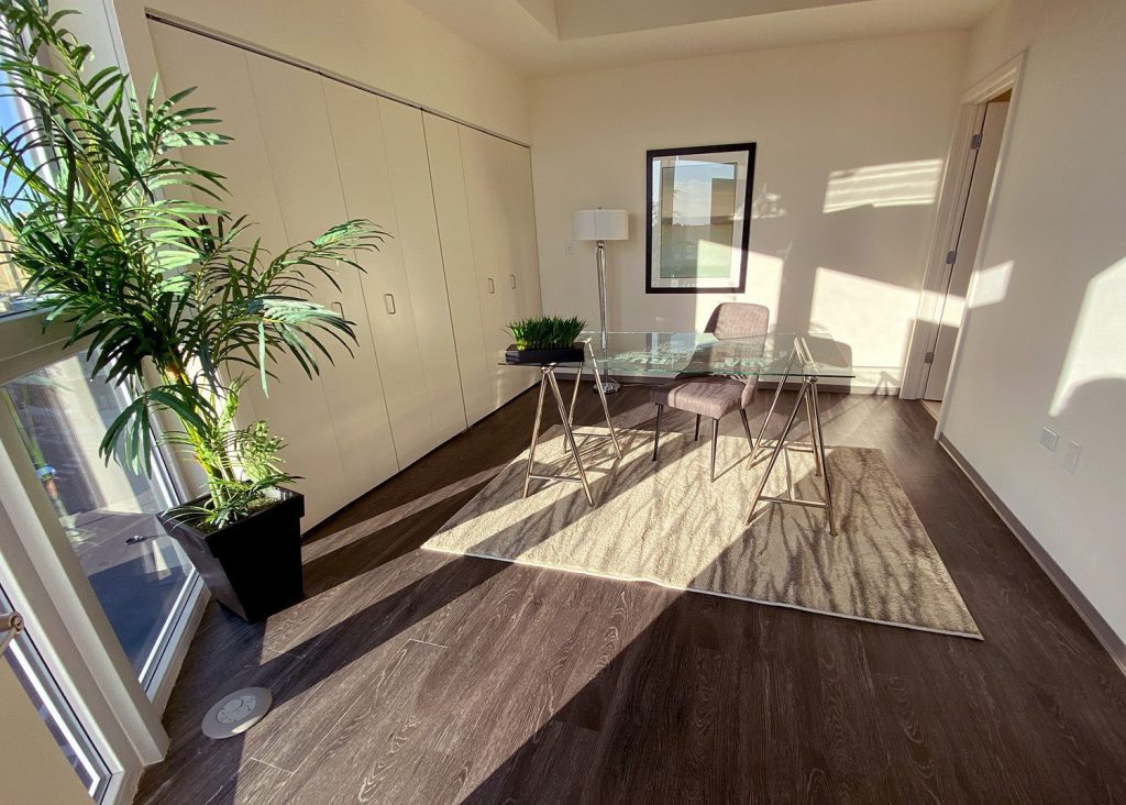 A second bedroom in an apartment that's been turned into a work from home office space