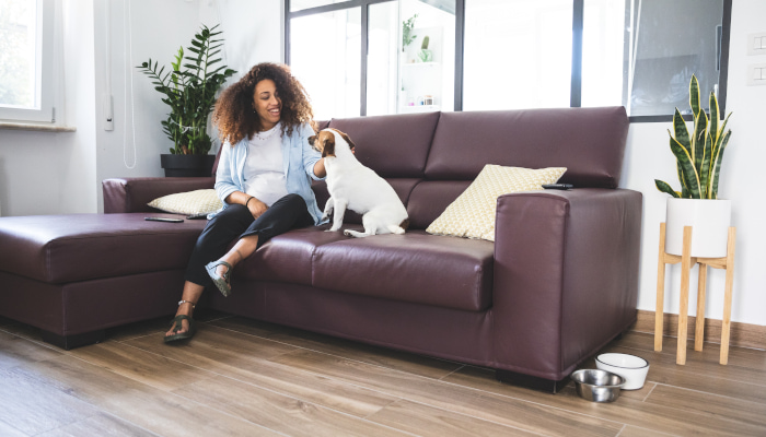 Woman with dog on couch - pet friendly apartments Chicago